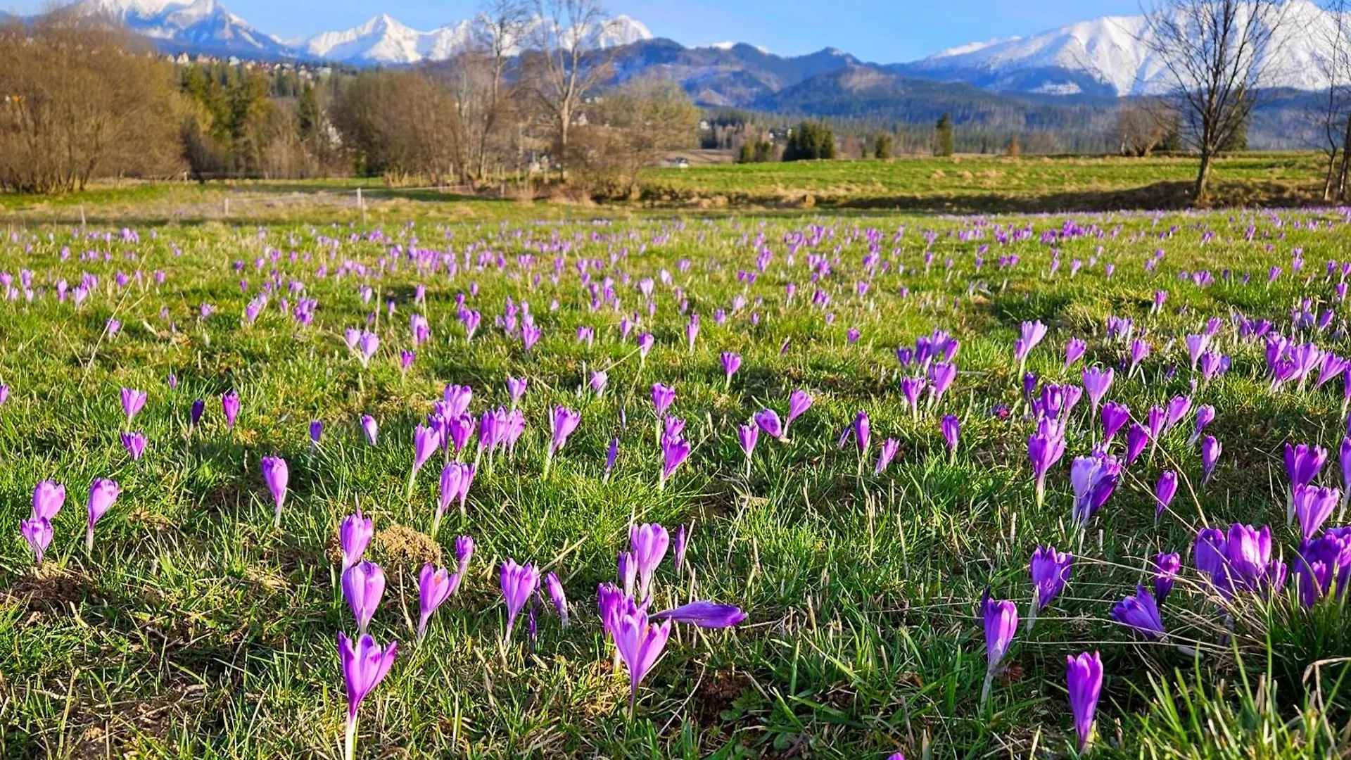 Goralska Chatka 3 Highland Cottage - Jacuzzi, Sauna, Split Ac, Private Parking, Mountains View Zakopane Lengyelország