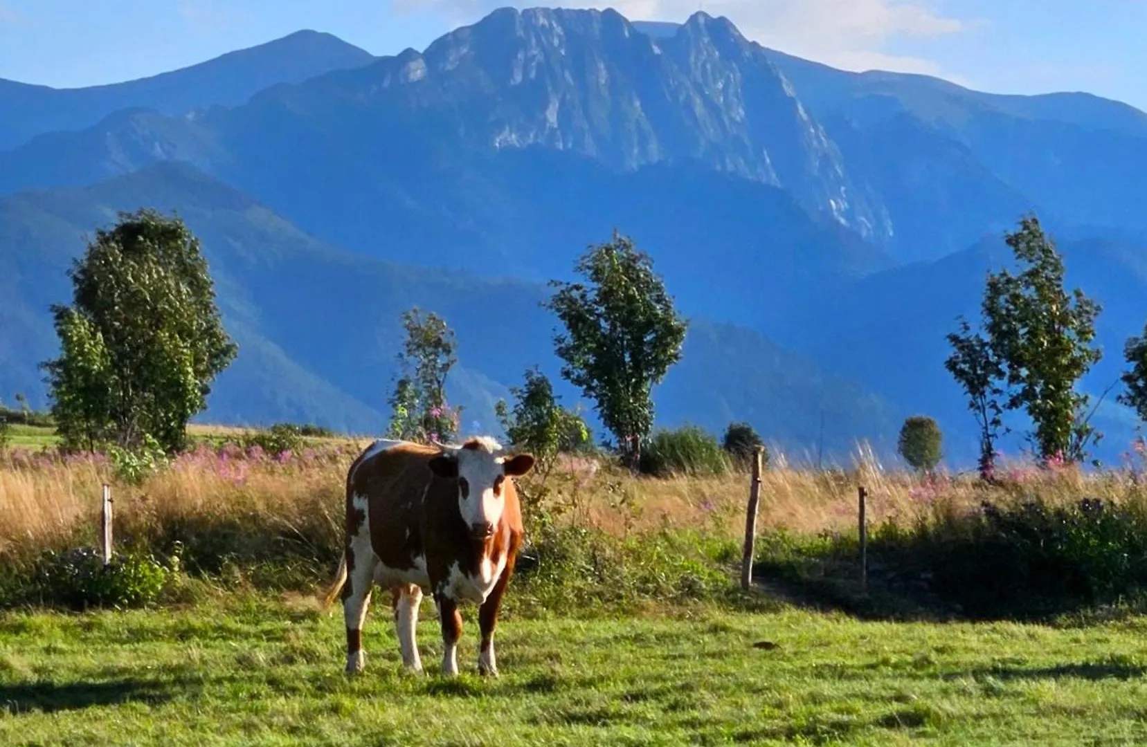 Chalet Goralska Chatka 3 Highland Cottage - Jacuzzi, Sauna, Split Ac, Private Parking, Mountains View Zakopane Poland