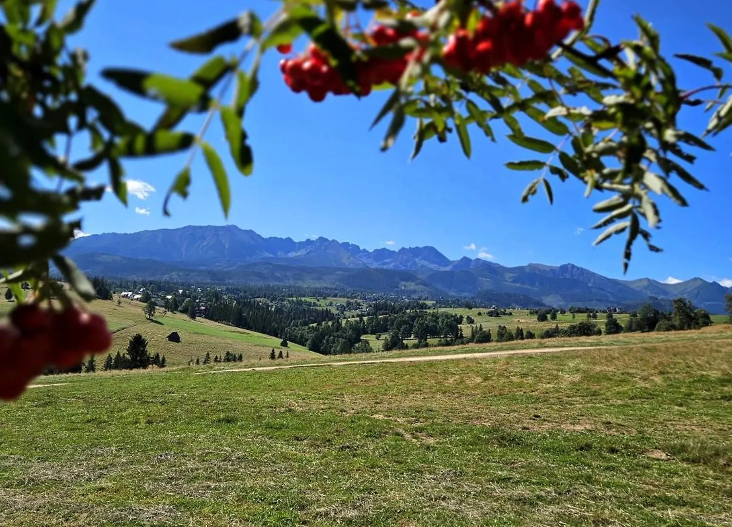 Alpesi faház Goralska Chatka 3 Highland Cottage - Jacuzzi, Sauna, Split Ac, Private Parking, Mountains View Zakopane