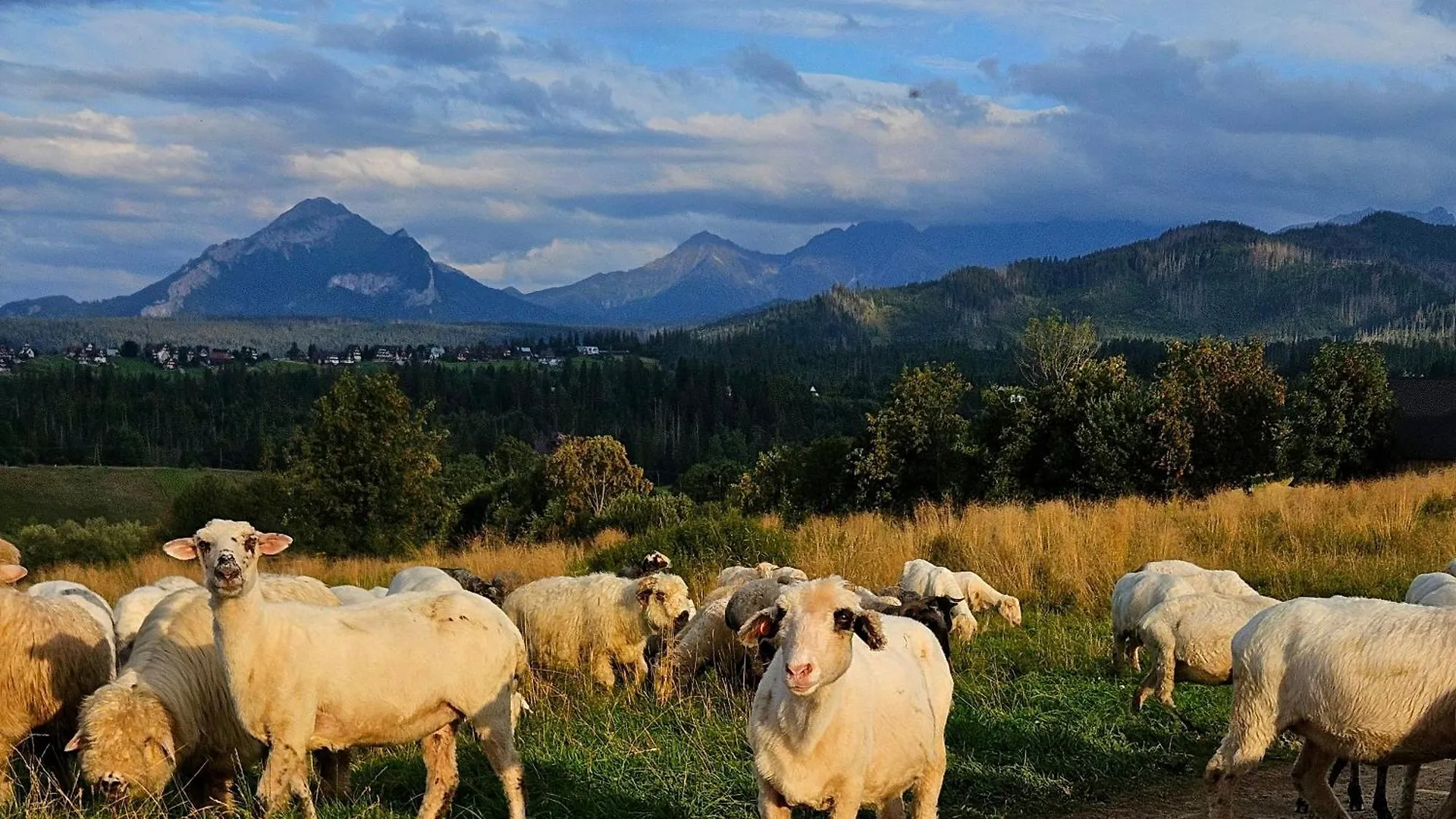 Goralska Chatka 3 Highland Cottage - Jacuzzi, Sauna, Split Ac, Private Parking, Mountains View Zakopane 0*,  Poland